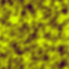 yellow6.gif